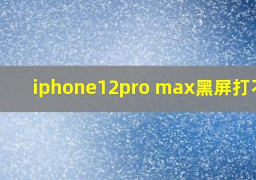 iphone12pro max黑屏打不开